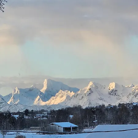 Hammergaarden - Karstua - Panoramic Arctic Sortland