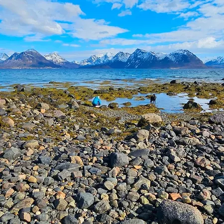 Hammergaarden - Karstua - Panoramic Arctic